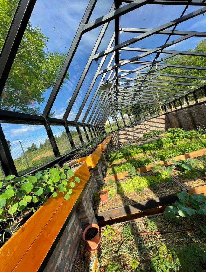 Sormás Istvan Parkhotel Es Gasztrofarm מראה חיצוני תמונה